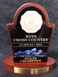 Champion CHSAA Mini Colorado High School State Trophy  