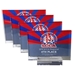 Full Color Acrylic Flag Award - SCA-ACFLAG810